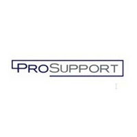 Netgear ProSupport OnCall 24x7 (PMB0331GR)
